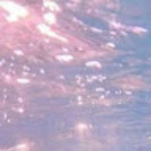 Meet your Posher, Julianne